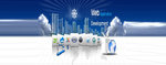 Website Design and Development